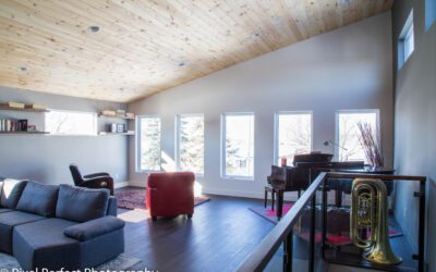 The Pane of Picking Windows: Window Wisdom for Winnipeggers