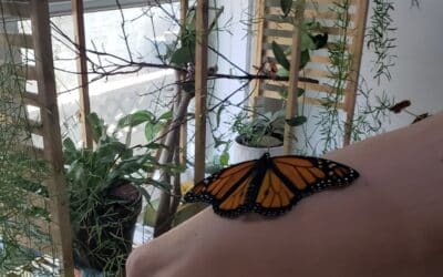 Building with Integrity: The Quiet Power of the Butterfly Effect